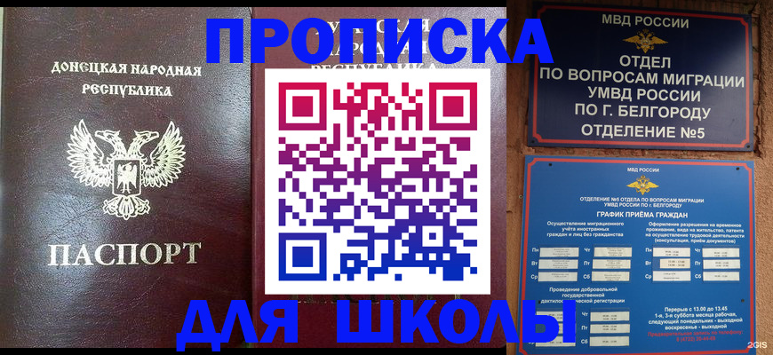 прописка для работы в Щёлкино
